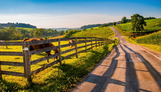 Fence and horses along a country backroad in rural York County, PA..jpeg