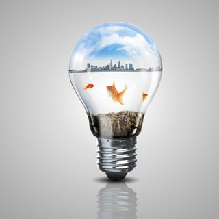 Gold fish in water inside an electric light bulb.jpeg